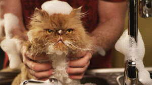 Las Vegas Valley Water District Commercial